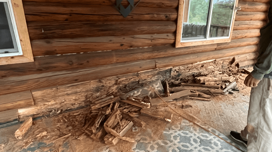 Deer Park log home restoration prior to work